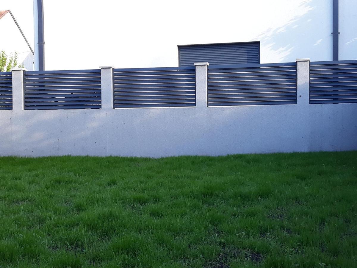 Haus Apartman Zajecar M&L المظهر الخارجي الصورة